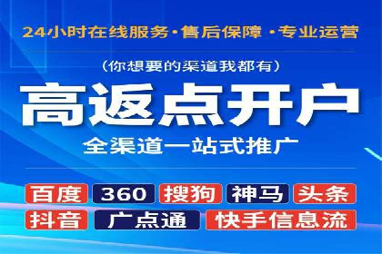 谷歌竞价广告与SEO结合的营销案例解析